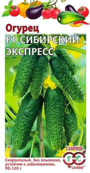 Огурец Сибирский Экспресс F1 /10шт скороспел,партенок,