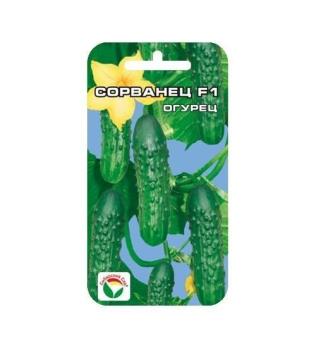 Огурец Сорванец F1 /7шт раннеспел,пчелоопыл