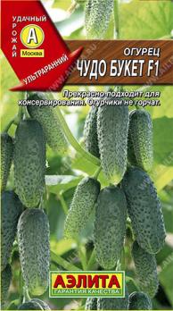 Огурец Чудо Букет F10,25г партен