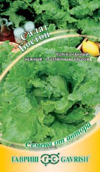 Салат Бостон 0,5г среднеспел,полукачан,зелен сер.Семена от автора