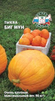 Тыква Биг Мун 2г среднепозд,крупноплод 