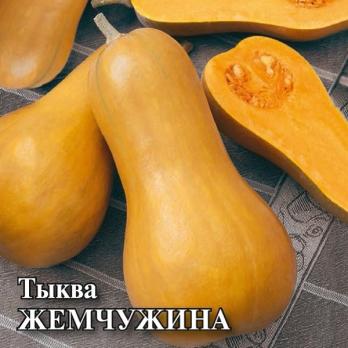 Тыква Жемчужина мускатная 5шт среднеспел,аромат