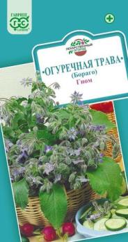 Огуречная Трава Гном 0,5гр /лекарственное и медоносное растение/12.28