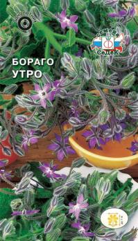 Бораго Утро (огуречная трава/сиреневый) 0,5г Н1м