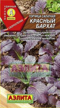 Горчица Красный Бархат Салатная 0,5гр листовая, скороспел