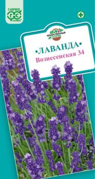 Лаванда Вознесенская 0,05гр /узколистная