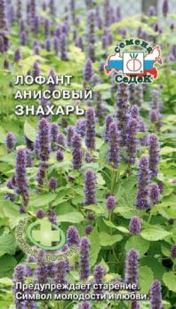 Лофант Знахарь анисовый 0,1г /пряно-ароматическое растение