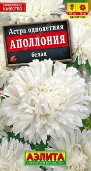 Астра Аполлония Белая 0,2гр густомахровая /однолетник