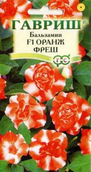 Бальзамин Оранж Фреш F1 4шт махр. /однолетник 