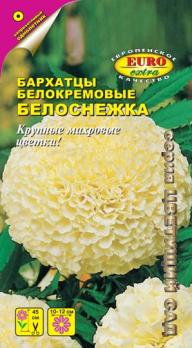 Бархатцы Белоснежка  прямостоячие