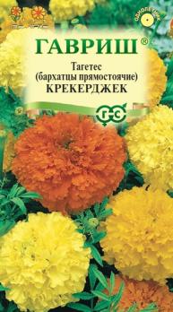 Бархатцы (Тагетес) Крекерджек 0,3гр прямостоячие Н70см /однолетник