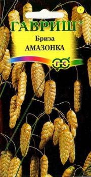 Бриза Амазонка (трясунка) 0,02г сухоцвет  /однолетник
