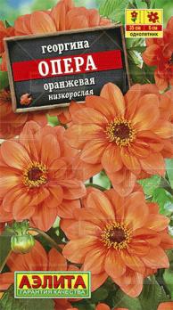 Георгина Опера ОРАНЖЕВАЯ низкорослая 7шт /однолетник