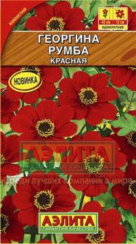 Георгина Румба КРАСНАЯ компакт. Н45см Ø12см /однолетник 