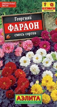 Георгина Фараон 0,3гр смесь сортов Н50см /однолетник