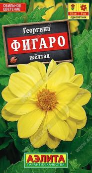 Георгина Фигаро Желтая 7шт махровая Н45см/однолетник
