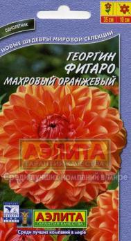 Георгина Фигаро Оранжевый Махровый 7с Н35см /однолетник