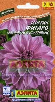 Георгина Фигаро Фиолетовый Махровый 7с Н35см /однолетник