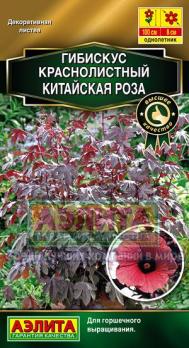 Гибискус Китайская Роза (крастнолистный) 