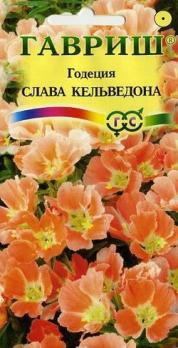 Годеция Слава Кельвидона 0,05гр /однолетник