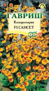 Кальциолярия Сансет (желт.) F1 /10с Н25см