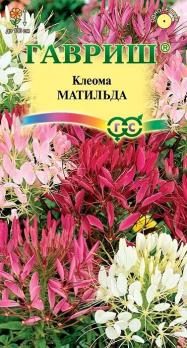 Клеома колючая Матильда смесь 0,3гр Н100см