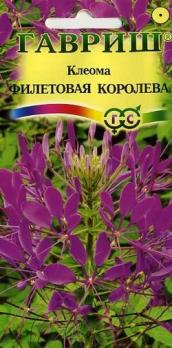 Клеома Фиолетовая Королева (фиолет) 0,3гр Н100см 