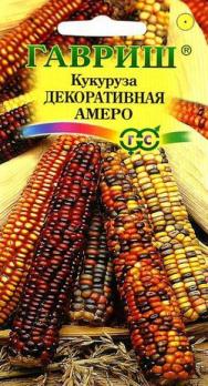 Кукуруза декор. Амеро /5шт