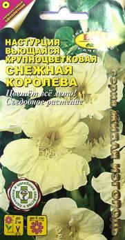 Настурция Снежная Королева 