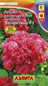 Петуния Валентина F1 крупноцветковая махровая 10с (драже в пробирке) сел.PanAmerican Seed /однолетник
