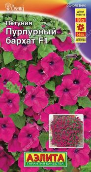 Петуния Пурпурный Бархат F1 ампельная (тип СУРФИНИЙ) 4шт (драже в пробирке) /однолетник