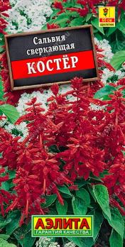Сальвия Костер 0,1гр сверкающая Н60см /однолетник 