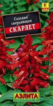 Сальвия Скарлет 0,1гр сверкающая /однолетник