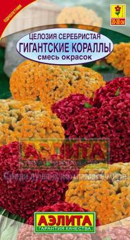 Целозия серебристая Гигантские Кораллы смесь 0,05гр /однолетник