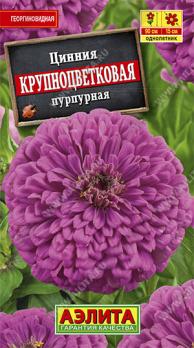 Цинния Крупноцветковая ПУРПУРНАЯ 0,3гр Н90см георгиновидная /однолетник