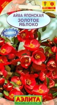 Айва Золотое Яблоко 10с японская /многолетник