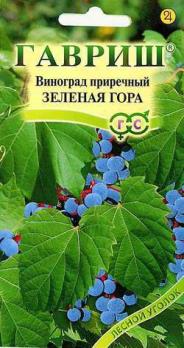 Виноград приречный Зеленая Гора 5шт.