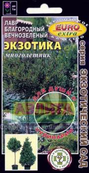 Лавр Экзотика вечнозеленый