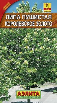 Липа Королевское Золото пушистая 10шт /многолетник