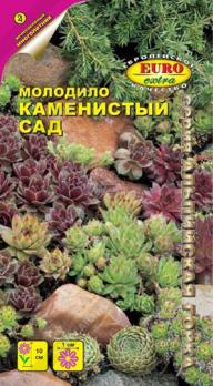 Молодило Каменистый Сад 0,005гр сер.Альпийская горка /многолетник