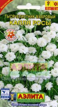 Тысячелистник Капля Росы 0,1г махровый Н60см /многолетник