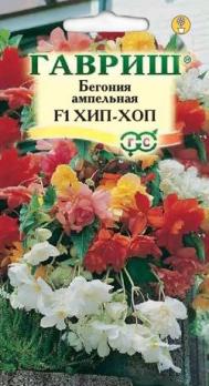 Бегония ампельная Хип-Хоп F1 /4с 