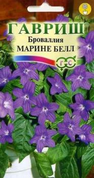 Броваллия Марине Белл синяя 3шт./комнатные