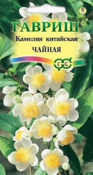 Камелия китайская Чайная 3шт.
