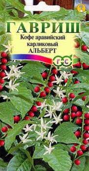 Кофе Альберт аравийский карликовый 5с /комнатные