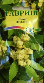 Лавр благородный Цезарь /3шт