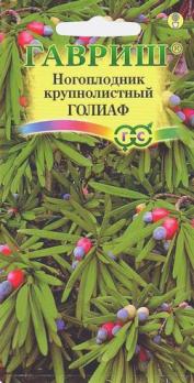 Ногоплодник круглолистный Голиаф/3с