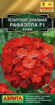 Пеларгония Рафаэлла F1 АЛАЯ зональная 5шт сел.Farao Золотая сер /многолетник
