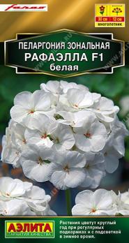 Пеларгония Рафаэлла F1 БЕЛАЯ зональная 5шт сел.Farao Золотая сер /многолетник