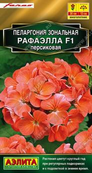 Пеларгония Рафаэлла F1 ПЕРСИКОВАЯ зональная 5шт сел.Farao Золотая сер /многолетник